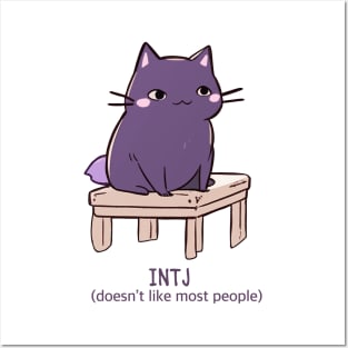 INTJ cat Posters and Art